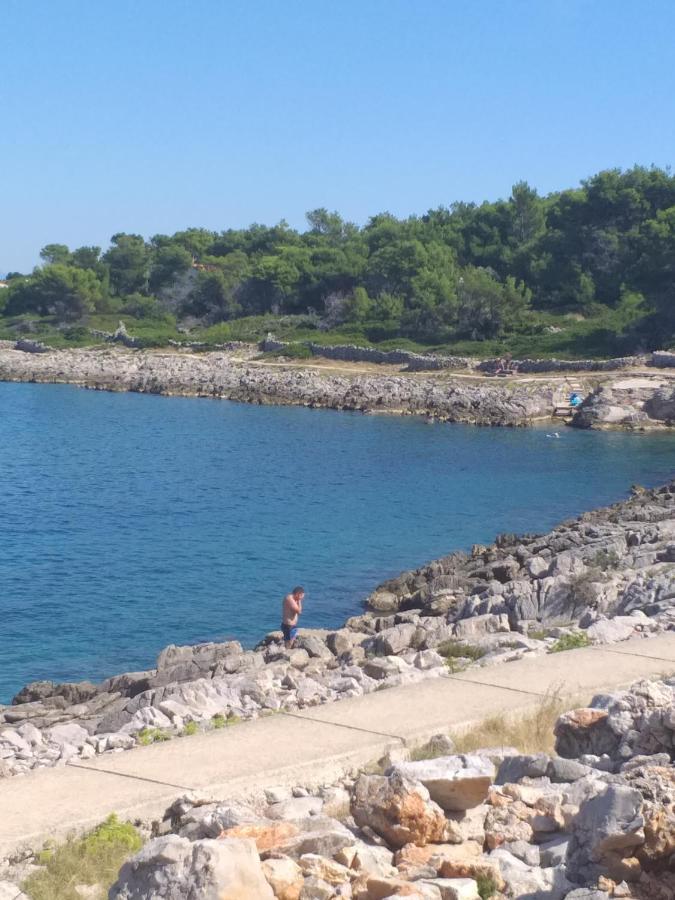 Apartment Vlasta Mali Losinj