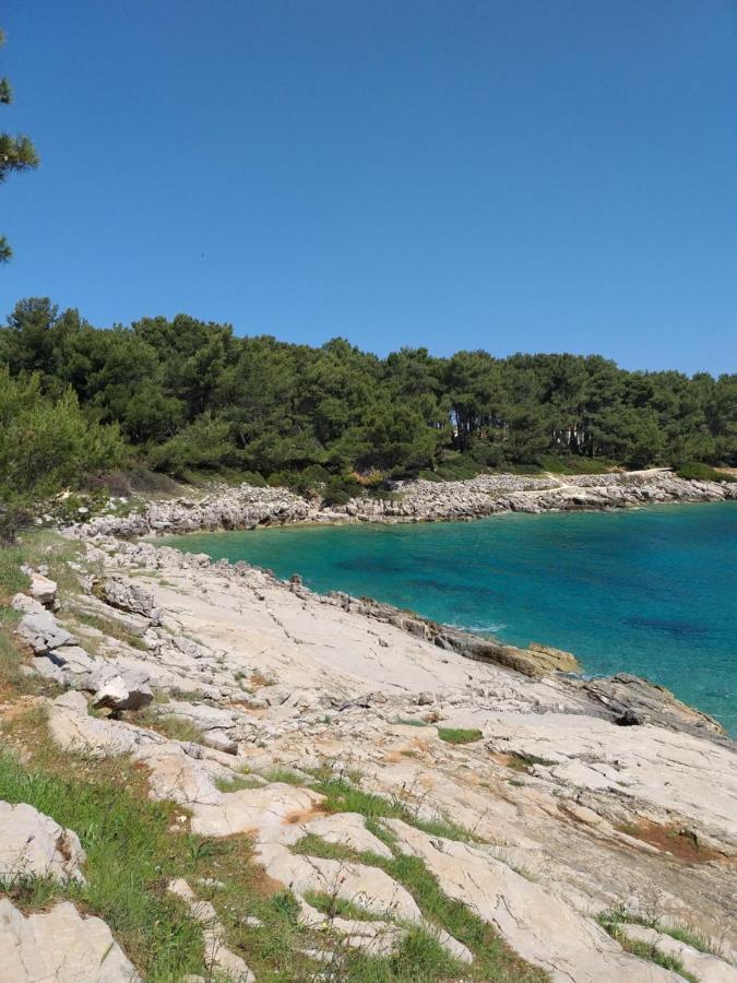 Vlasta Mali Losinj