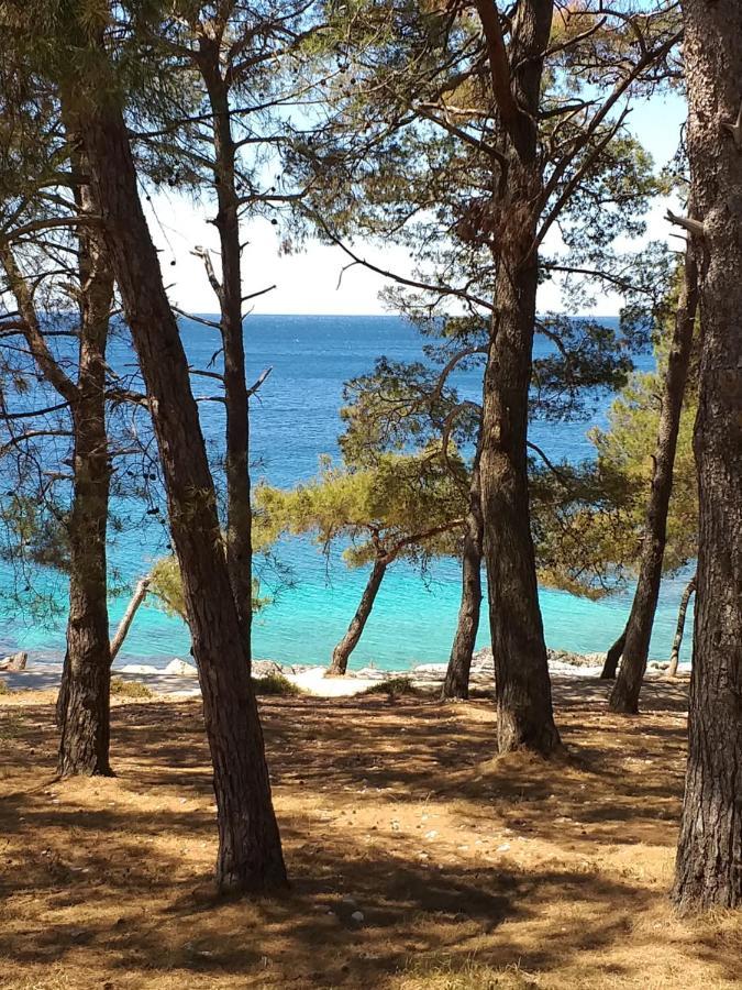 Vlasta Apartment Mali Losinj