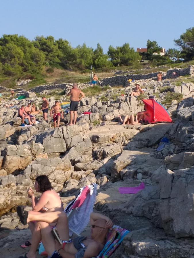 Vlasta Apartment Mali Losinj