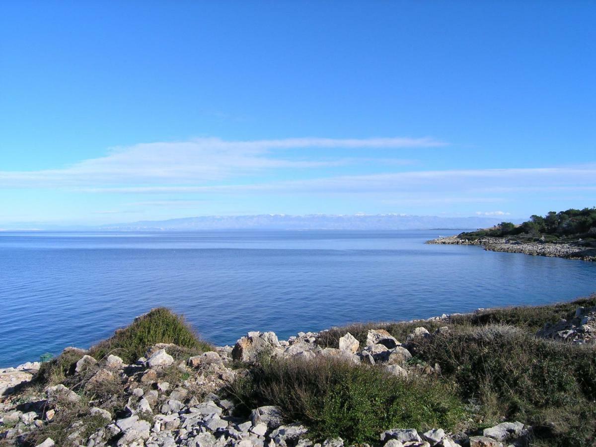 Vlasta Apartment Mali Losinj