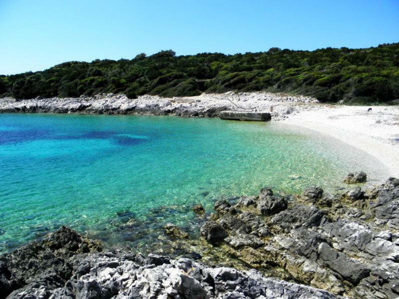 Vlasta Apartment Mali Losinj